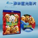  聖誕狗狗 Santa Buddies (藍光25G)