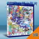  AKB48 MV精选大全集2013 (3碟) Bluray藍光BD-25G