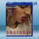   非普通教慾 Canine/Dogtooth (2009) 藍光25G