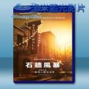   石牆風暴 Stonewall (2015) 藍光影片25G