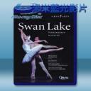   柴可夫斯基天鵝湖藍光 Tchaikovsky Swan Lake 藍光影片25G