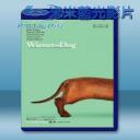   臘腸狗 Wiener-Dog [2016] 藍光25G