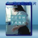   發現心節奏 Fish Tank (2010) 藍光25G