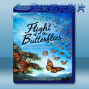   帝王蝶的遷徙 Flight of the Butterflies (2012) 藍光25G
