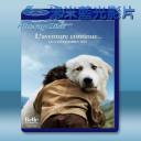   靈犬雪麗2 Belle et Sébastien : l'aventure continue [2015] 藍光25G