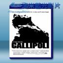   加里波底 Gallipoli [2碟] [1991] 藍光25G