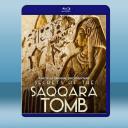  塞加拉陵墓揭秘 Secrets of the Saqqara Tomb (2020) 藍光25G