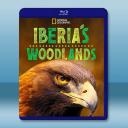 伊比利亞叢林 Iberia's Woodlan...