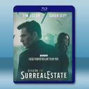 凶宅處理專員 第一季 SurrealEstate S1(2021)藍光25G 2碟L