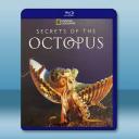 章魚的秘密 Secrets of the Octopus(2024)藍光25G T