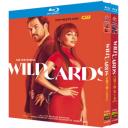 百變王牌 第1-2季 Wild Cards S...