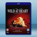 我心狂野 Wild at Heart (199...