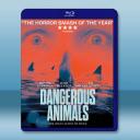鯊人魔/危險動物 Dangerous Animals(2025)藍光25G		 